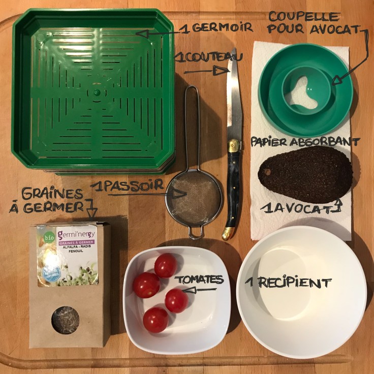 Petites plantations diy craft bricolage enfant regardons pousser les plantes fiche materiel