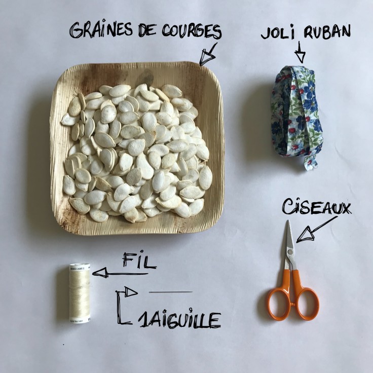 Le collier de Josiane diy bricolage en famille craft enfant ruban graines de courges