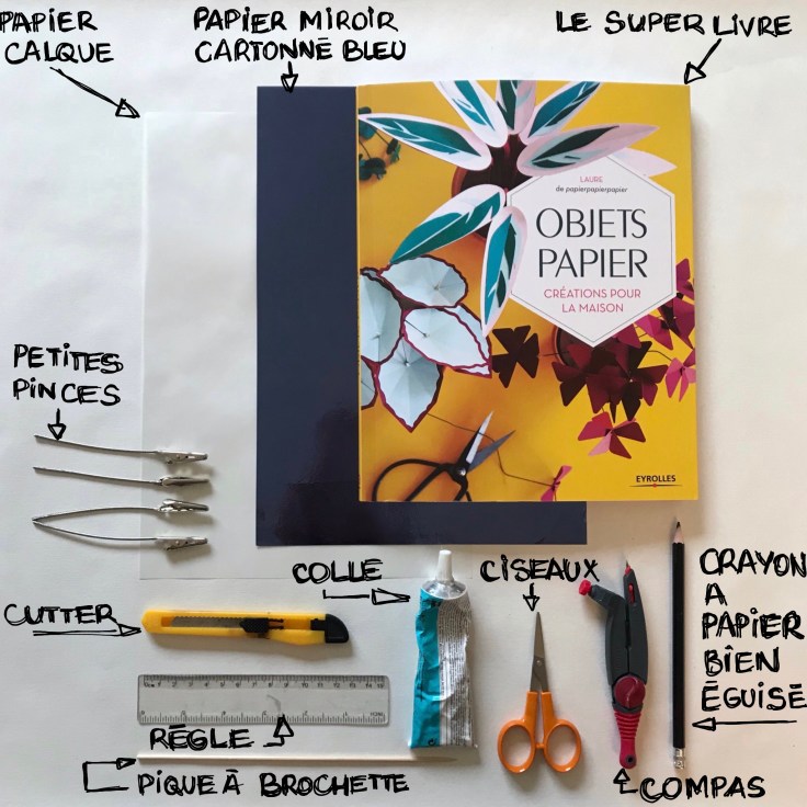 Scarabée d’expositIon - DIY - bricolage enfant - craft for kids - pliage - papier - origami - insecte encadré - cadre - Fiche matériel